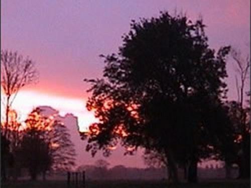 The Stables At Henham Park Bed & Breakfast Southwold Exterior foto